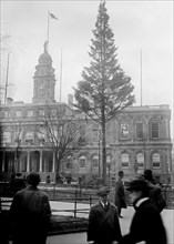 City Hall Xmas Tree 1913