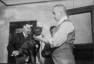 Date: 1914 - 1st patient, Dog Hospital, N.Y. City
