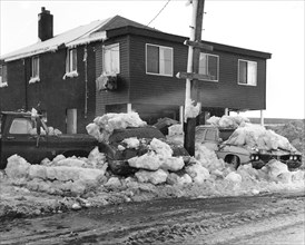 Automobiles Covered in Snow after Blizzard of 1978 2/17/1978