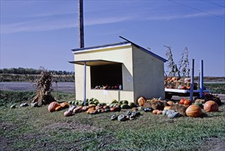 1980s America -  Farm stand, Frederick, South Dakota 1987