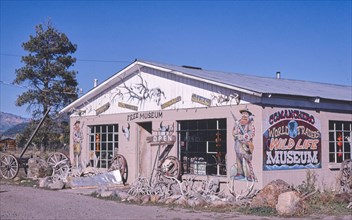 1980s America -   Wild Life Museum, Chama, New Mexico 1980