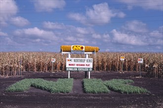 1980s America -   Northrup King sign, Vermillion, South Dakota 1987