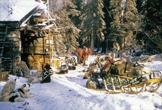 Sleds parked at Rohn River roadhouse during Iditarod ca. March 1974