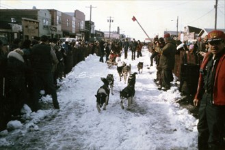 Iditarod finish line - ca. March 1974