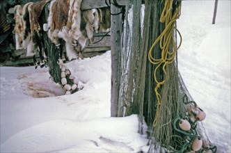 Caribou hides, fish nets ca. March 1974