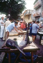 A fish market in a market in an Italian City