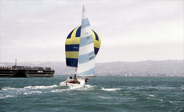 Treasure Island Yacht Club sailing tournament