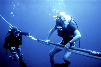 Navy divers setting up a scientific experiment