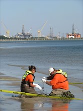 USGS Collects Sediments Samples at Pascagoula Beach in Mississippi ca. October 2010