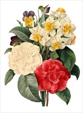 Bouquet of camellias