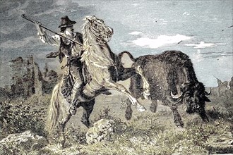 buffalo hunters in america