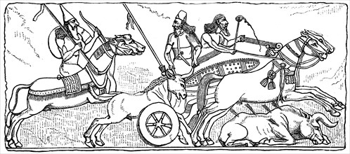 Assyrian warriors with battle chariots hunting bulls
