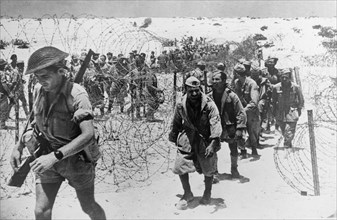 Italian prisoners marching at El Alamein