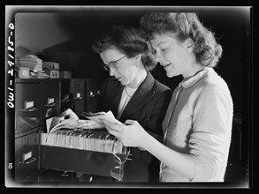 Two women looking through files
