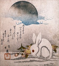 Moon with White Hare in the snow