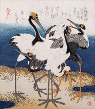 Five Cranes at the Water's edge