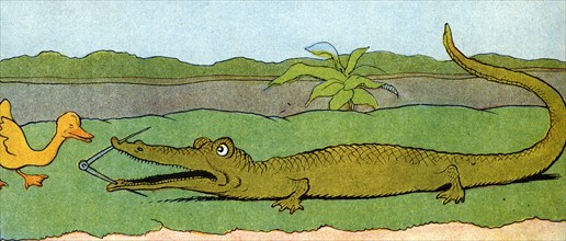 Gedeon Meets a Dangerouse Crocodile