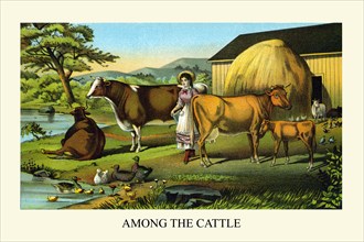Among the Cattle