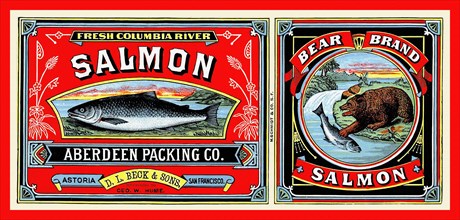 Bear Brand Salmon