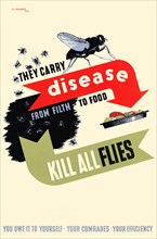 Kill All Flies