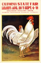 California State Fair 1909 - Chickens