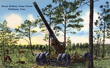 Heavy artillery, Camp Forest