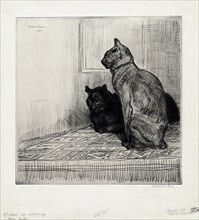 Deux chats sur un meuble