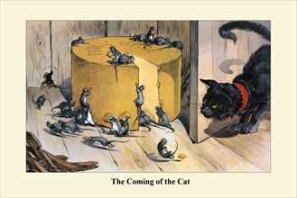 The Coming of the Cat