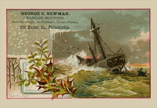 George C. Newman - Shipwreck