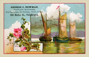 George C. Newman - Ships