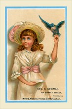 Geo C. Newman - Pet Bird