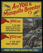 Are You A Mosquito Breeder?