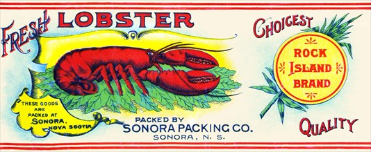 Rock Island Brand Fresh Lobster