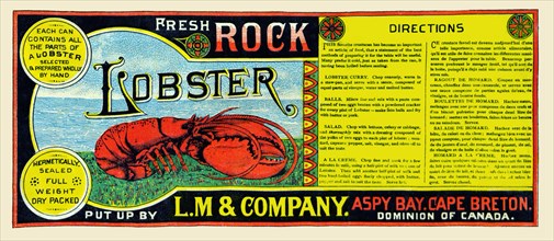 Fresh Rock Lobster