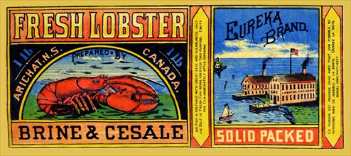 Eureka Brand Fresh Lobster