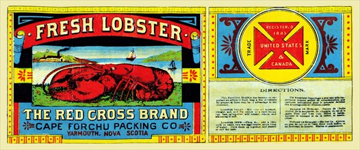 The Red Cross Brand Fresh Lobster