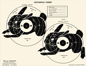 Cottontail Target