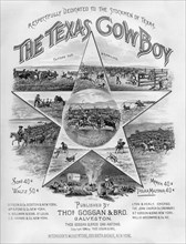 The Texas Cowboy