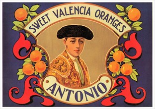 Antonio Sweet Valencia Oranges