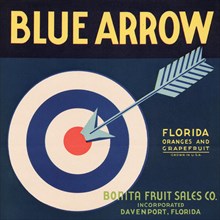 Blue Arrow Brand
