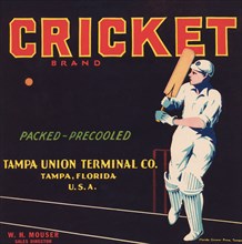 Cricket Brand