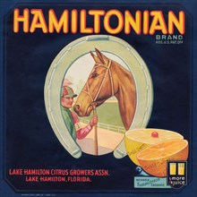 Hamiltonian Brand