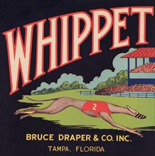 Whippet Brand
