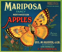 Mariposa Brand Apples