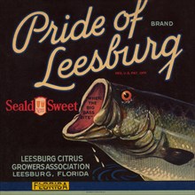 Pride of Leesburg Brand