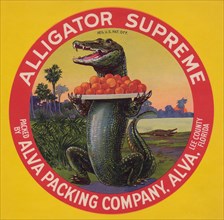 Alligator Supreme