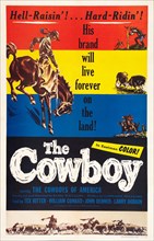 The Cowboy (1S)