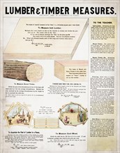 Lumber & timber measures