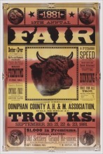 1881 13th Annual Fair