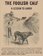 The foolish calf, a lesson to labor